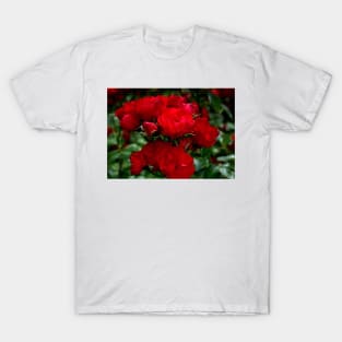 Double Bouquet Of Roses T-Shirt